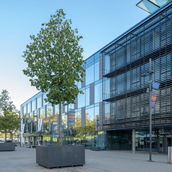 Linker Rand Platz vor dem Schulgbäude mit Bäumen und YB-Uhr. Rechte Seite ist das Schulgebäude ersichtlich.